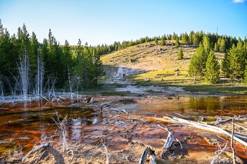 An overlooking landscape view of Yellowstone National Park, Wyoming