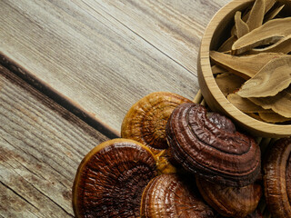 The  lingzhi mushroom image close up for alternative medicine or medical and health  concept.