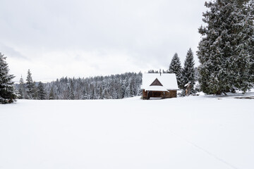 Zimowy krajobraz górski w Polsce. Drewniana chata w zaśnieżonym lesie. - obrazy, fototapety, plakaty