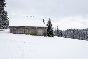 Zimowy krajobraz górski w Polsce. Drewniana chata w zaśnieżonym lesie.