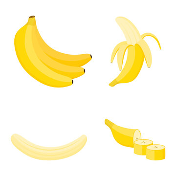 Banana, whole fruit, half and slices, vector illustration