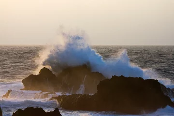 Foto op Aluminium Branding rotskust, Azoren  Surf at rocky coast, Azores © AGAMI