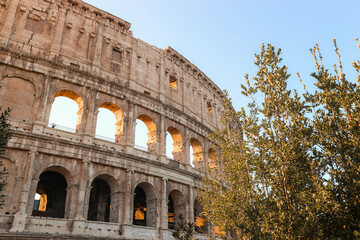 Fototapeta na wymiar Colosseum windows with sunset light through them and lighted tree. 