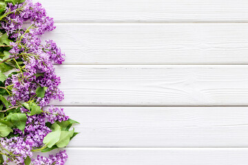 Purple spring flowers background. Lilac branches flat lay