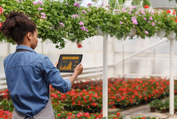 Black woman holding tablet while working in greenhouse with flowers