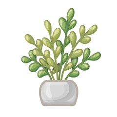 Cartoon green plant in striped pot. Euonymus. Vector illustration isolated on white background