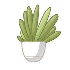 Cartoon green plant in white pot. Vector illustration isolated on white background