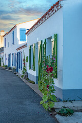 Obraz premium noirmoutier