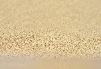 Dry yeast