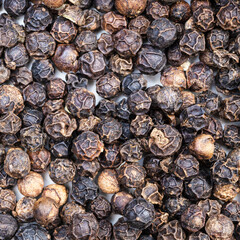 black pepper peppercorns close up