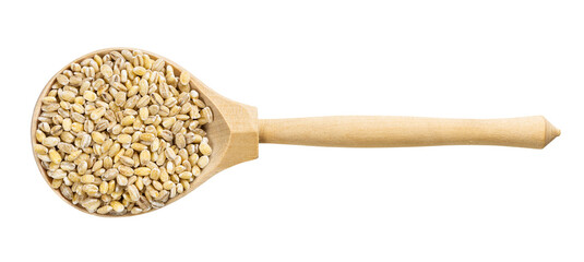 top view of wood spoon with pearled barley grains