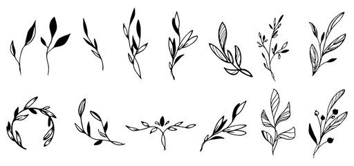 Beautiful linear plants with long, rounded, pointed, oval leaves. A great option for a logo. Object isolated from background.Vector graphics 