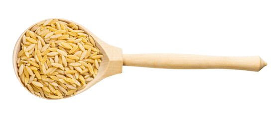 top view of wood spoon with orzo risoni pasta
