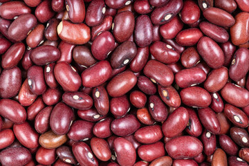 background - raw mexican red beans