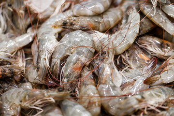 Shrimps fresh, raw prawns in bulk at fish market
