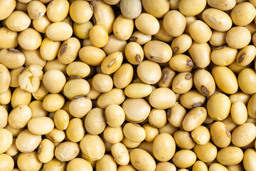 background - many raw dried soybeans