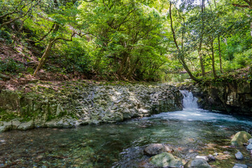 Obraz premium ”カニ滝（Kanidaru)