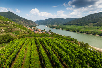 Fototapeta na wymiar Spitz, Austria, View to Danube river from ruins of Hinterhaus castle.