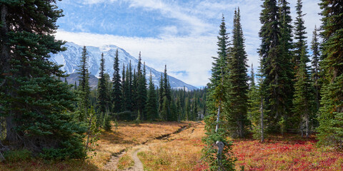 Mount Adams view from the Killen Creek trail and autumn meadows.