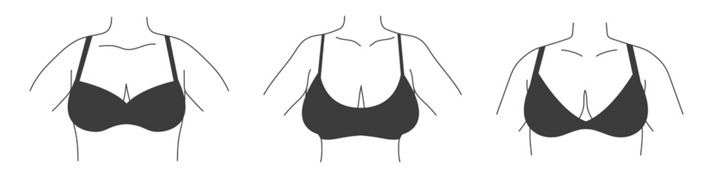 Different types of bras. Collection of lingerie. Vector silhouettes of female underwear