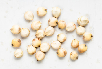 several raw unpolished Sorghum grains close up