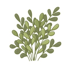 Cartoon shrub isolated on white background. Vector illustration