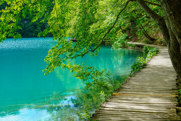 Fototapeta premium Walking path near the lake in the Plitvice National Park, Croatia 