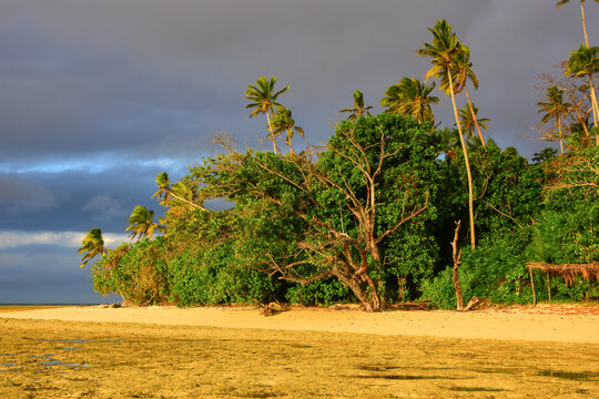 View from tide pools as dark storm clouds approach a palm and tree covered tropical island