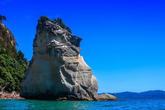 Te Hoho Rock near Cathedral Cove in New Zealand