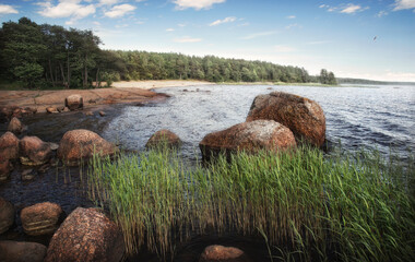 Red stones going bathe. Baltic shore with granite rocks and sand beach at background. Gulf of Finland.