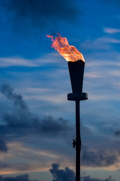Tropical torch burning brightly against a cloud filled skyat dusk