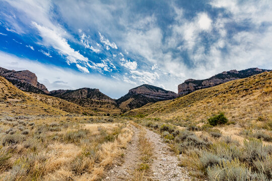 "Road Less Traveled"