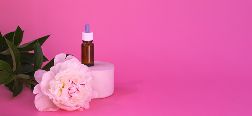 Composition of dark glass with cosmetic, medical products. Bottles with allergy medicine or serum, oils on catwalks with white peony on pink background. Banner
