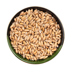 spelt wheat grains in round bowl isolated