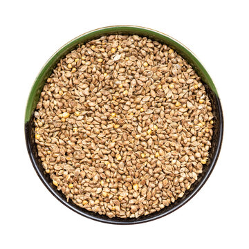 barnyard millet seeds seeds in round bowl isolated