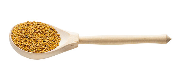 yellow seeds of mustard in wooden spoon isolated