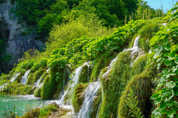 Fototapeta na wymiar Small waterfall in Plitvice national park, Croatia 