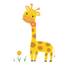 Fototapeta premium Baby giraffe with a flower in its mouth and grass growing nearby. Vector illustration.