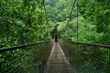 Wandcirkels aluminium Suspension bridge in rainforest © Azahara MarcosDeLeon