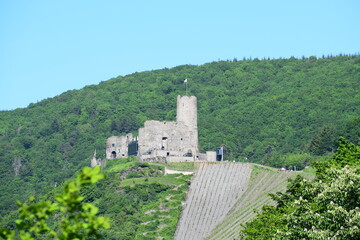 Burg Landshut Bernkastel-Kues