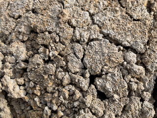 dry ground.