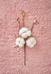 Branch cotton on pink towel texture background Nature background. Flat lay, top view of cotton. Natural textile.