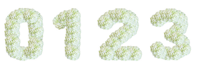 Numbers 0, 1, 2, 3 made of White Guelder Rose