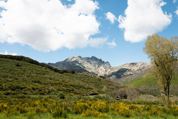 Fototapeta na wymiar Pico Curavacas in the Palentina mountain. Route of the swamps in the Palentina mountain. Palencia, Spain