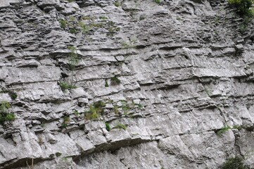 La roche dans les gorges du Tarn en Lozère France