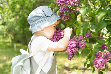 Cute little blonde hair boy enjoying lilac flowers bush in blooming garden, springtime. Seasonal kid allergy