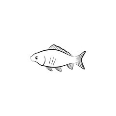 Carp fish icon vector illustration