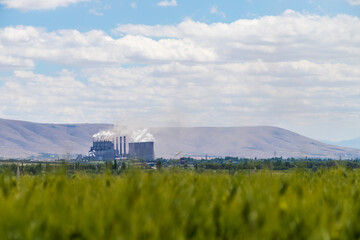 Steaming cooling towers on green meadow