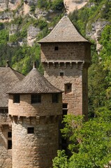 Fototapeta na wymiar Château de La Caze dans les gorges du Tarn en Lozère France