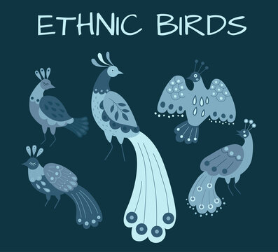 vector collection of ethnic birds in blue colour scheme